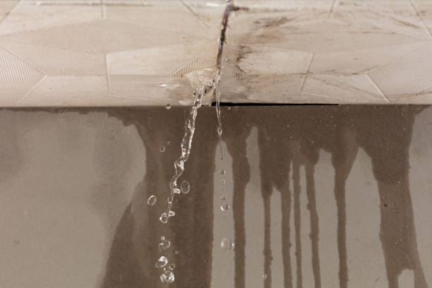 Professional Commercial Water Damage Restoration technician working in Natalia, TX